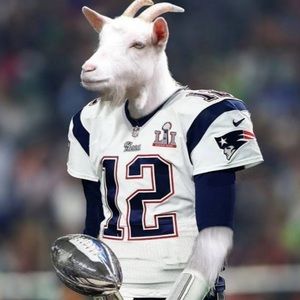 Meet your Posher, Darrick